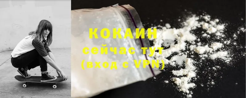 купить наркотики цена  гидра   Cocaine 98%  Щёкино 